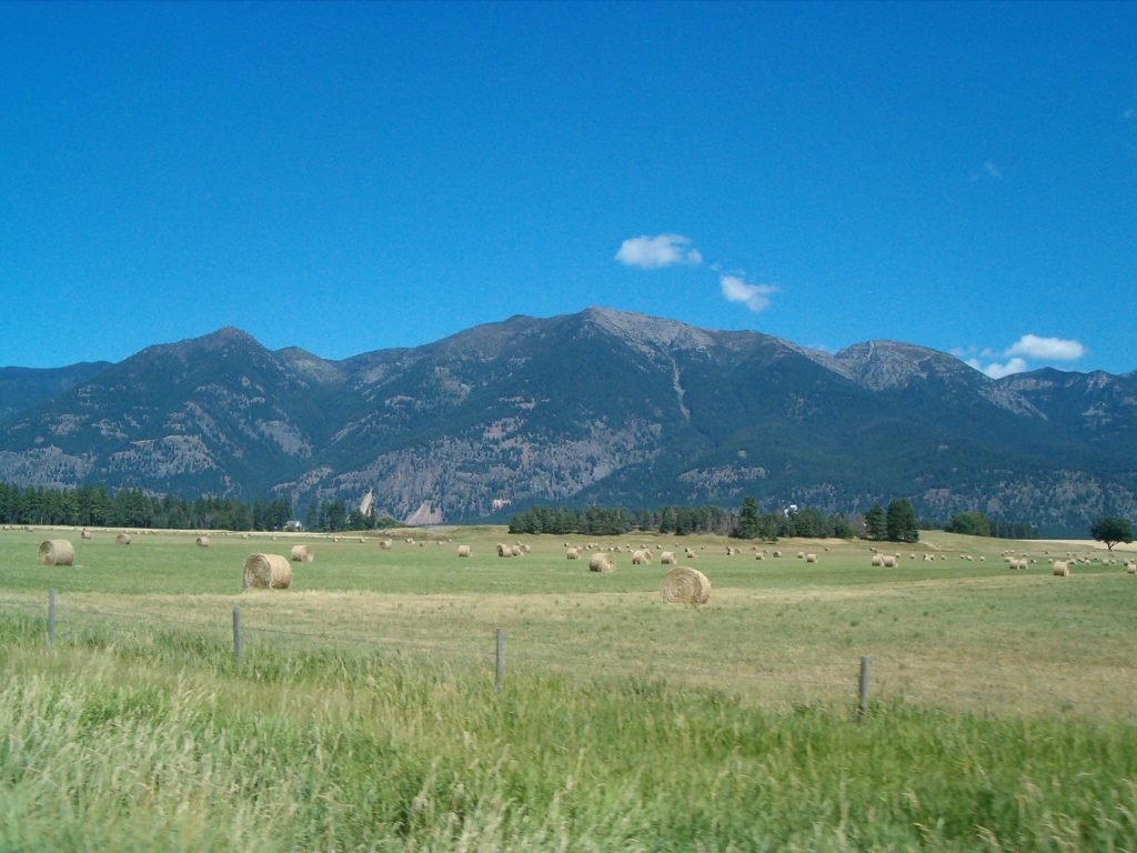 In the Midst of My Journey